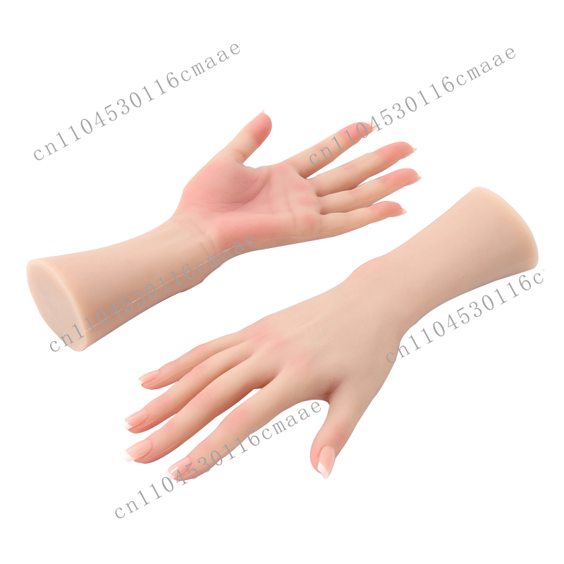 Female Silicone Hand Model, Us - đánh giá và giá Used Jewelry Watches